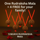 Original Nepali Himalaya Rudraksha Mala - For health, Money, and Attraction