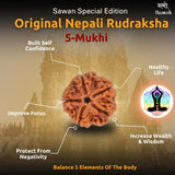 Original Nepali 5 Mukhi Rudraksha Mala