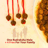 Original Nepali Himalaya Rudraksha Mala - For health, Money, and Attraction