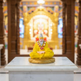 Premanand Ji Maharaj Idol | Spiritual Peace & Divine Energy for Home, Car & Gifting