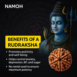 Original Nepali Himalaya Rudraksha Mala - For health, Money, and Attraction