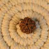 Original Nepali 5 Mukhi Rudraksha Mala