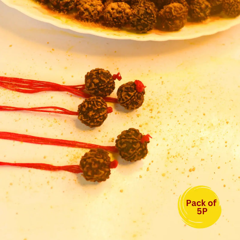 Original Nepali Himalaya Rudraksha Mala - For health, Money, and Attraction