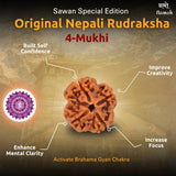 Nepali Original Rudraksha Mala