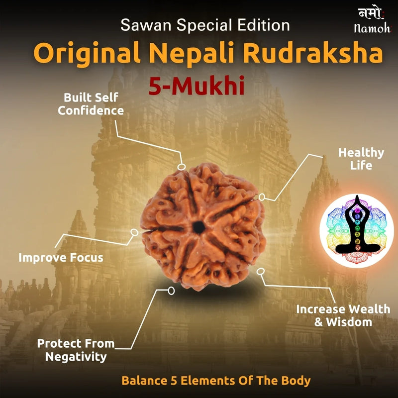 Original Nepali 5 Mukhi Rudraksha Mala
