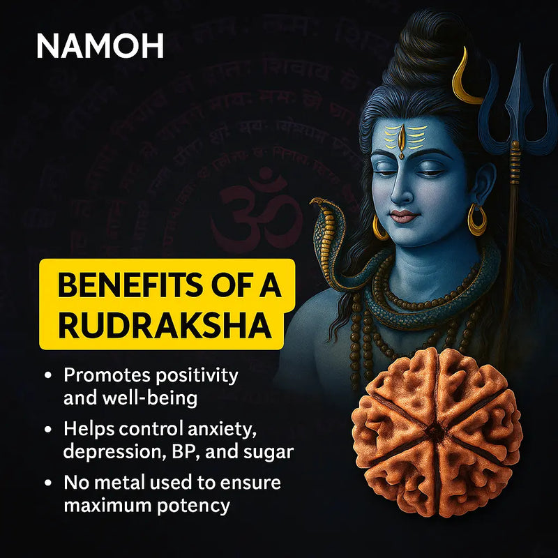 Original Nepali Himalaya Rudraksha Mala - For health, Money, and Attraction