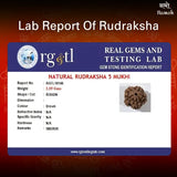 Original Nepali 5 Mukhi Rudraksha Mala