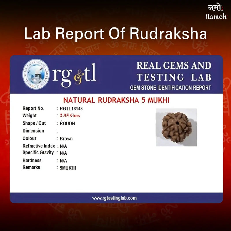 Original Nepali 5 Mukhi Rudraksha Mala