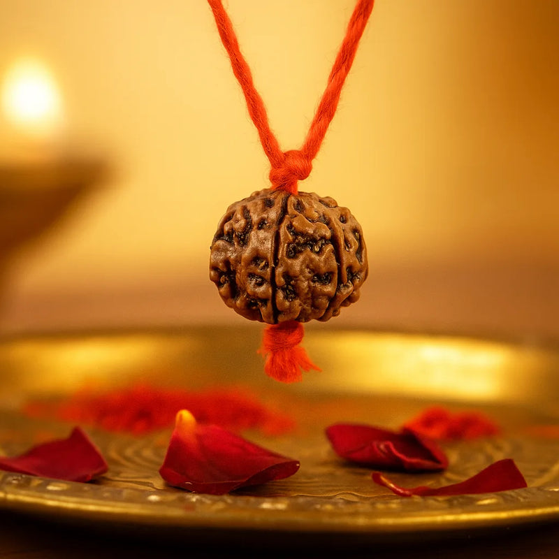 Original Nepali 5 Mukhi Rudraksha Mala