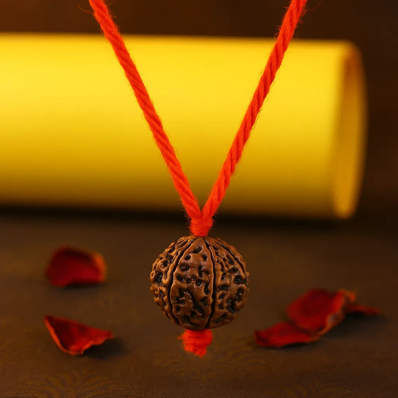 Original Nepali 5 Mukhi Rudraksha Mala