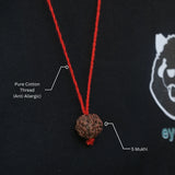 Original Nepali 5 Mukhi Rudraksha Mala