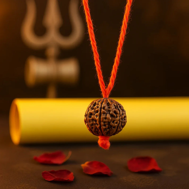 Original Nepali 5 Mukhi Rudraksha Mala